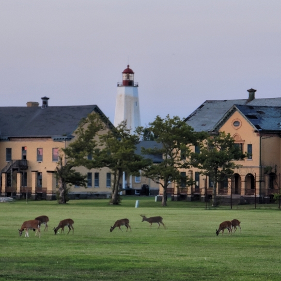 A Welcome to All New Buyers and Grateful Friends - Picture 14 of 17